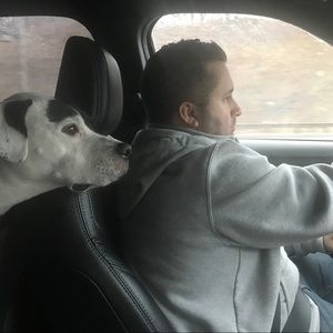 Meet your Posher, Dave